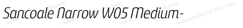 Sancoale Narrow W05 Medium字体转换